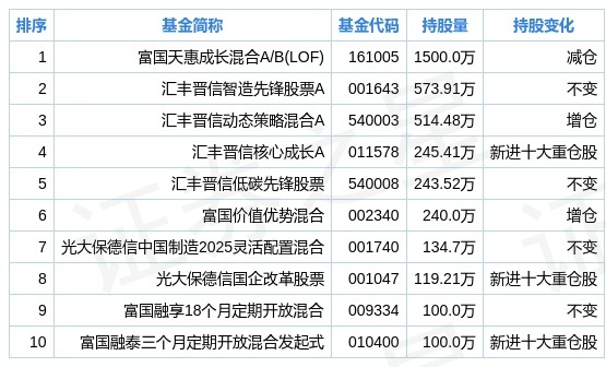 廣信股份股票適合長期持有嗎？深度解析與前景展望，廣信股份股票長期持有價值深度解析與前景展望