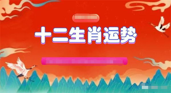 精準預測一肖一碼一子一中，探索精準預測的魅力與可能性，探索精準預測一肖一碼一子一中的神秘魅力與可能性