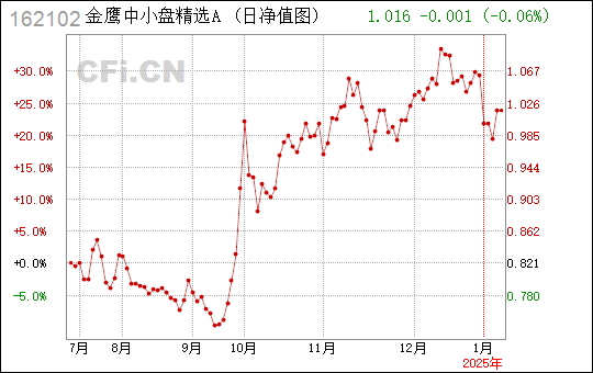 金鷹中小盤精選混合162102，投資策略與長期價值解析，金鷹中小盤精選混合投資策略與長期價值深度解析