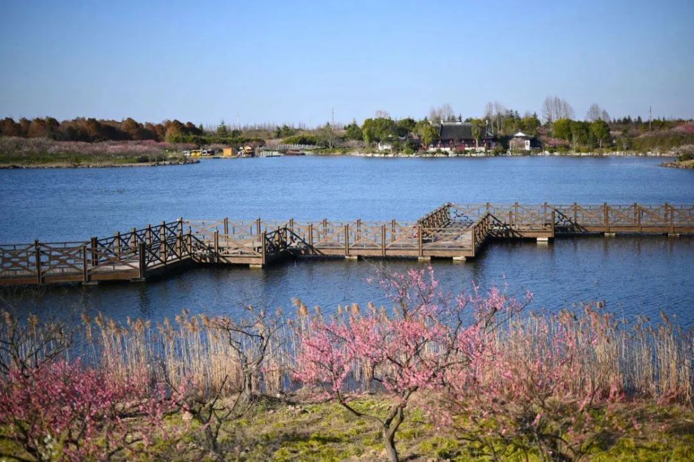 海灣森林公園，自然與文化的完美融合，海灣森林公園，自然與文化交融的勝地