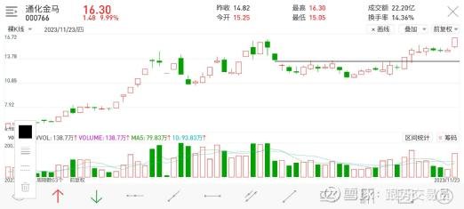 金馬股票，投資的新機遇與挑戰，金馬股票，新機遇與挑戰并存的投資之路