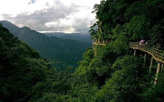 江西景德鎮國家森林公園，自然之韻，人文之魂，江西景德鎮國家森林公園，自然人文的和諧交響