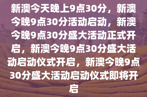 新澳之夜，九點(diǎn)三十分的奇遇，新澳之夜，九點(diǎn)三十分的神秘奇遇