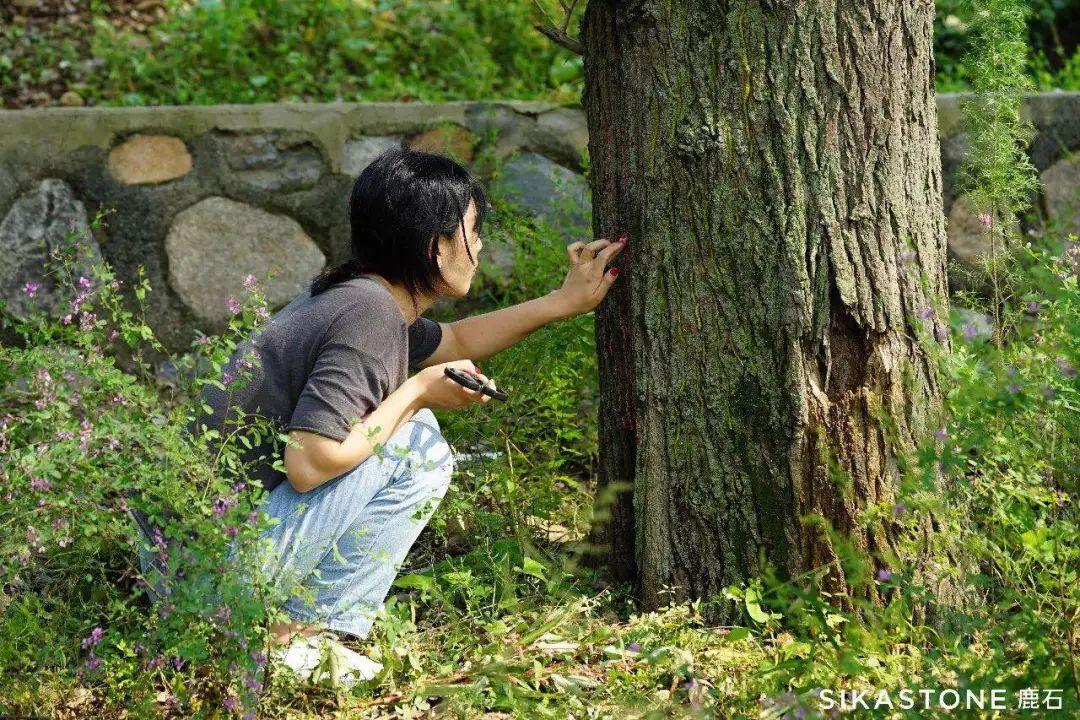 大地資源高清播放，在線觀看的新時代，大地資源高清播放，在線觀看新時代的盛宴